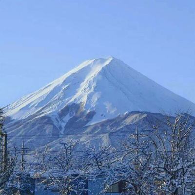 芭比宝宝超级市场最新版下载